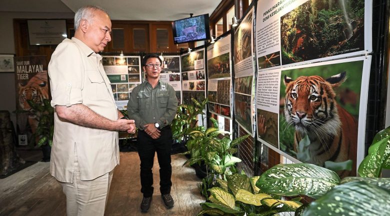 GERIK, 3 Ogos -- Sultan Perak Sultan Nazrin Shah berkenan meneliti maklumat mengenai harimau Malaya ketika melawat ruang pameran yang diadakan sempena sambutan Hari Harimau Sedunia (Global Tiger Day – GTD) 2023 anjuran WWF-Malaysia dan Yayasan Maybank di Belum Rainforest Resort hari ini.

-- fotoBERNAMA (2023) HAK CIPTA TERPELIHARA